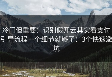 冷门但重要：识别假开云其实看支付引导流程一个细节就够了：3个快速避坑