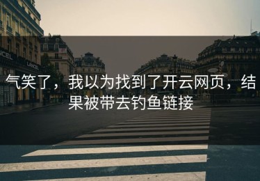 气笑了，我以为找到了开云网页，结果被带去钓鱼链接
