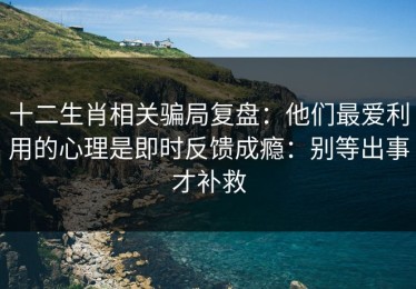 十二生肖相关骗局复盘：他们最爱利用的心理是即时反馈成瘾：别等出事才补救