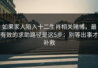 如果家人陷入十二生肖相关赌博，最有效的求助路径是这5步：别等出事才补救