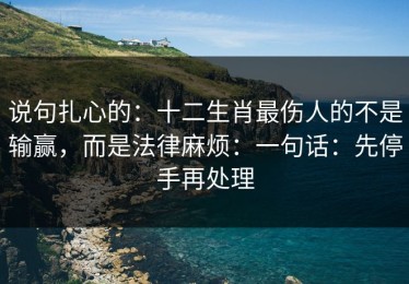 说句扎心的：十二生肖最伤人的不是输赢，而是法律麻烦：一句话：先停手再处理
