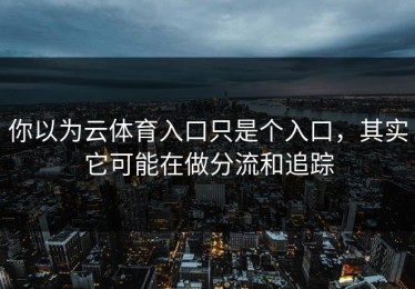 你以为云体育入口只是个入口，其实它可能在做分流和追踪