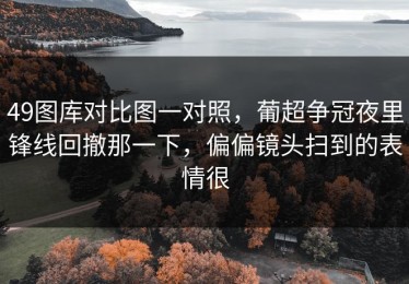 49图库对比图一对照，葡超争冠夜里锋线回撤那一下，偏偏镜头扫到的表情很