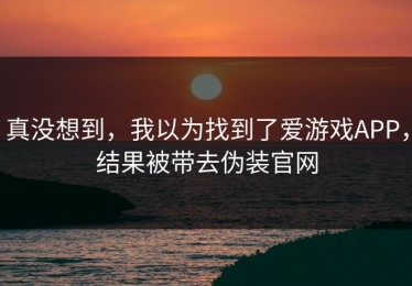 真没想到，我以为找到了爱游戏APP，结果被带去伪装官网