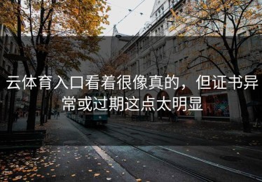 云体育入口看着很像真的，但证书异常或过期这点太明显