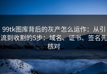 99tk图库背后的灰产怎么运作：从引流到收割的5步：域名、证书、签名先核对
