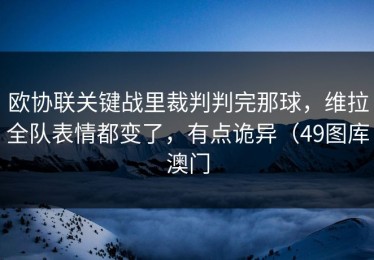 欧协联关键战里裁判判完那球，维拉全队表情都变了，有点诡异（49图库澳门