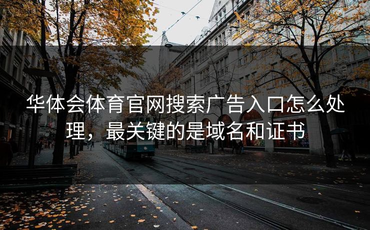 华体会体育官网搜索广告入口怎么处理，最关键的是域名和证书