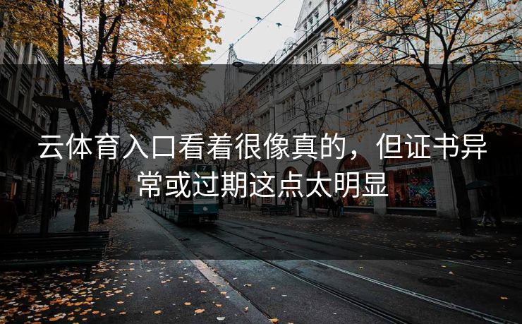 云体育入口看着很像真的，但证书异常或过期这点太明显