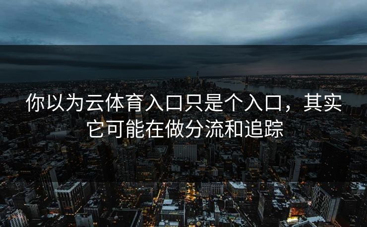 你以为云体育入口只是个入口，其实它可能在做分流和追踪